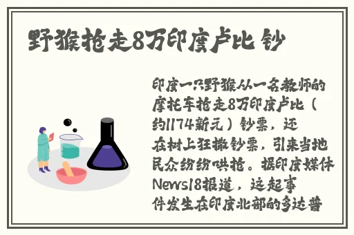 九九九精品国产一区二区电影